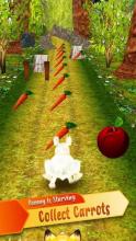 Forest Bunny Run :Bunny Game截图2