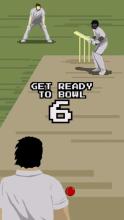 Sandy Balls Cricket截图5