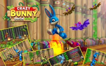 Crazy Bunny Dash Run - Bunny Rabbit Game截图1
