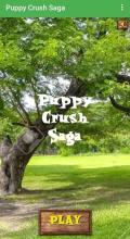 Puppy Crush Saga截图2