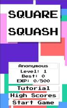 Square Squash截图2