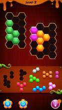 block puzzle hexa截图1