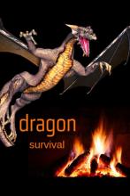 Dragon Survival  Spin the Dragon截图1