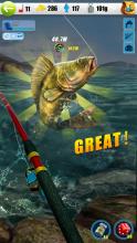 Summer Fishing  Nice daily catch截图2