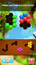 Hexabee  Fun Hexa Block Puzzle截图2