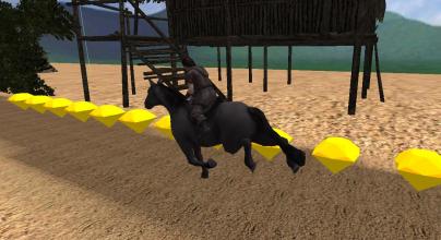 Crazy Horse Riding  Game截图5