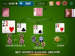 BLACKJACK 21  Casino Vegas截图3