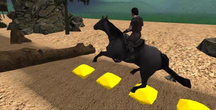 Crazy Horse Riding  Game截图1