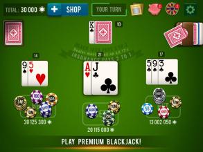 BLACKJACK 21  Casino Vegas截图4