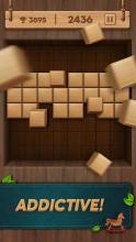 Wooden Block Puzzle   Classic Puzzle Game截图1