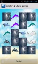 Dolphin Show Games For截图3