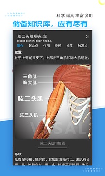 维萨里3D解剖截图