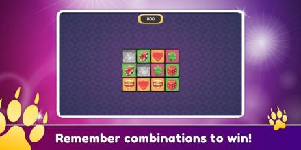 Lion Leo Cards  help Leo solve our puzzles截图2