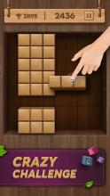 Wooden Block Puzzle   Classic Puzzle Game截图2