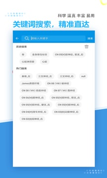 维萨里3D解剖截图