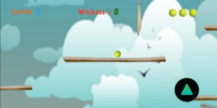 Cricket Ball截图5