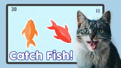 Fish for Cats  Cat Fishing Game截图2