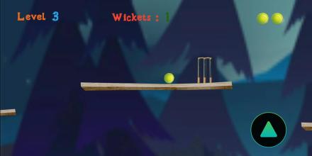 Cricket Ball截图3