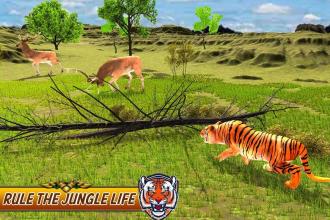 Wild Tiger Simulator Animal Hunt截图3