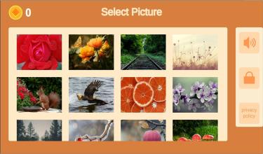 Sliding Tile Puzzle  Nature截图3