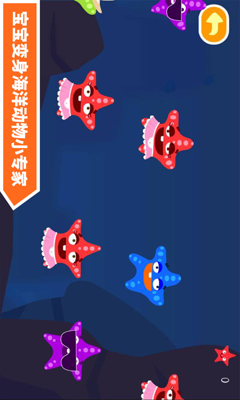 多多海洋動(dòng)物截圖預(yù)覽