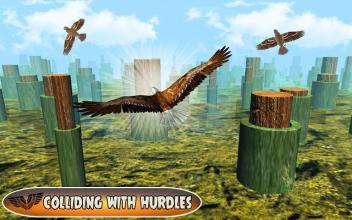 Bird Chase Mania: Eagle Hunt Endless Flying 3D截图5