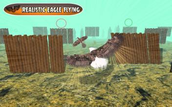 Bird Chase Mania: Eagle Hunt Endless Flying 3D截图2