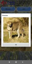 Classic Puzzle Jigsaw  Animals截图2