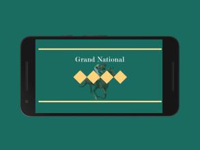 Grand National截图3