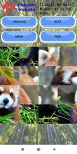 Classic Puzzle Jigsaw  Animals截图4