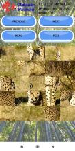 Classic Puzzle Jigsaw  Animals截图3