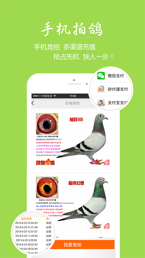 中国信鸽信息网v20190316截图3
