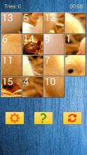 Animals Slide Puzzles截图2