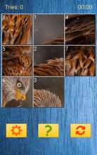 Animals Slide Puzzles截图5