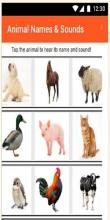 Animal Names & Sounds截图1