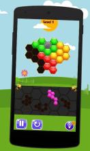 Fun Block Games Hexa Puzzle截图4