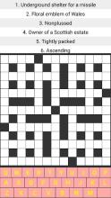 Crosswords Puzzle 007截图1