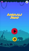 Zoo Animals Jumping & Bouncing game !截图5