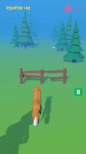 Fox Run - 3D截图2