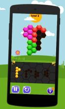 Fun Block Games Hexa Puzzle截图2