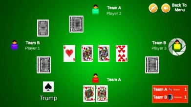 Euchre anytime截图1