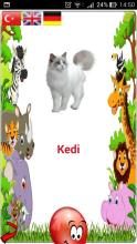 Kids Games Child Education截图2