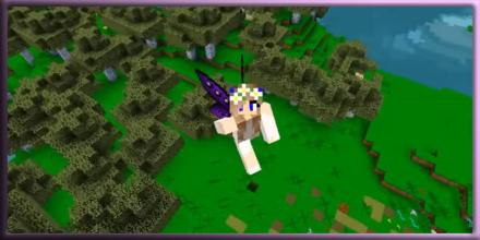 Fairy Skins for Craft Game截图2