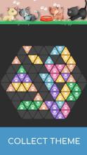 Hexa 1010! Block Puzzle截图1