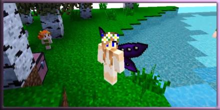 Fairy Skins for Craft Game截图3