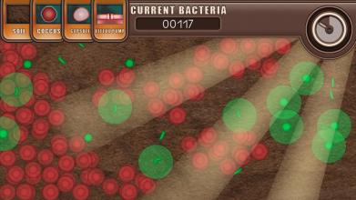 Bacteria Builder截图2