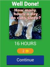 Cats Quiz Trivia截图3