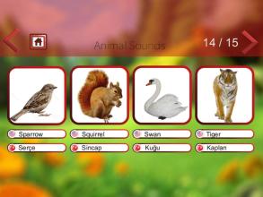 Animal Sounds & Animal Names截图1