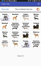 Dogs World截图2