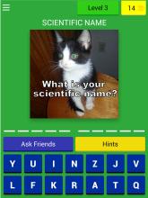 Cats Quiz Trivia截图5